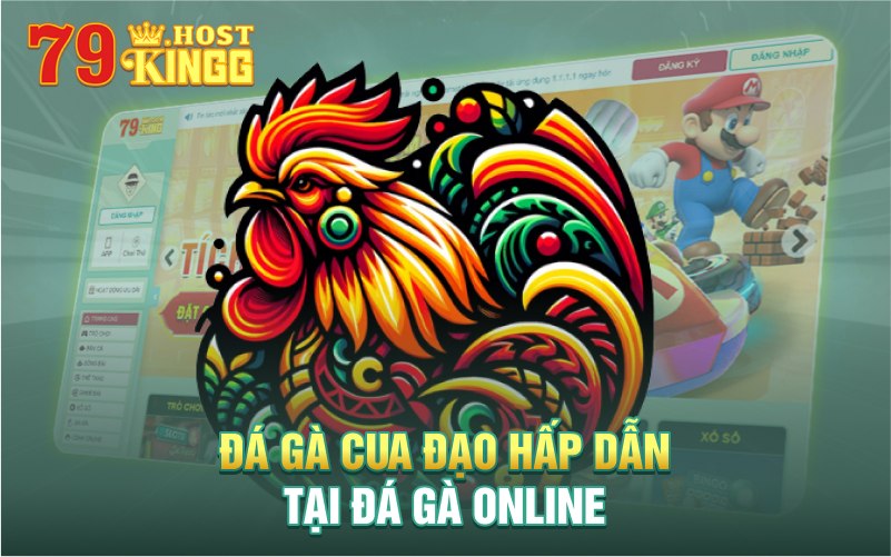 Đá gà cựa dao trực tuyến tại 79KING